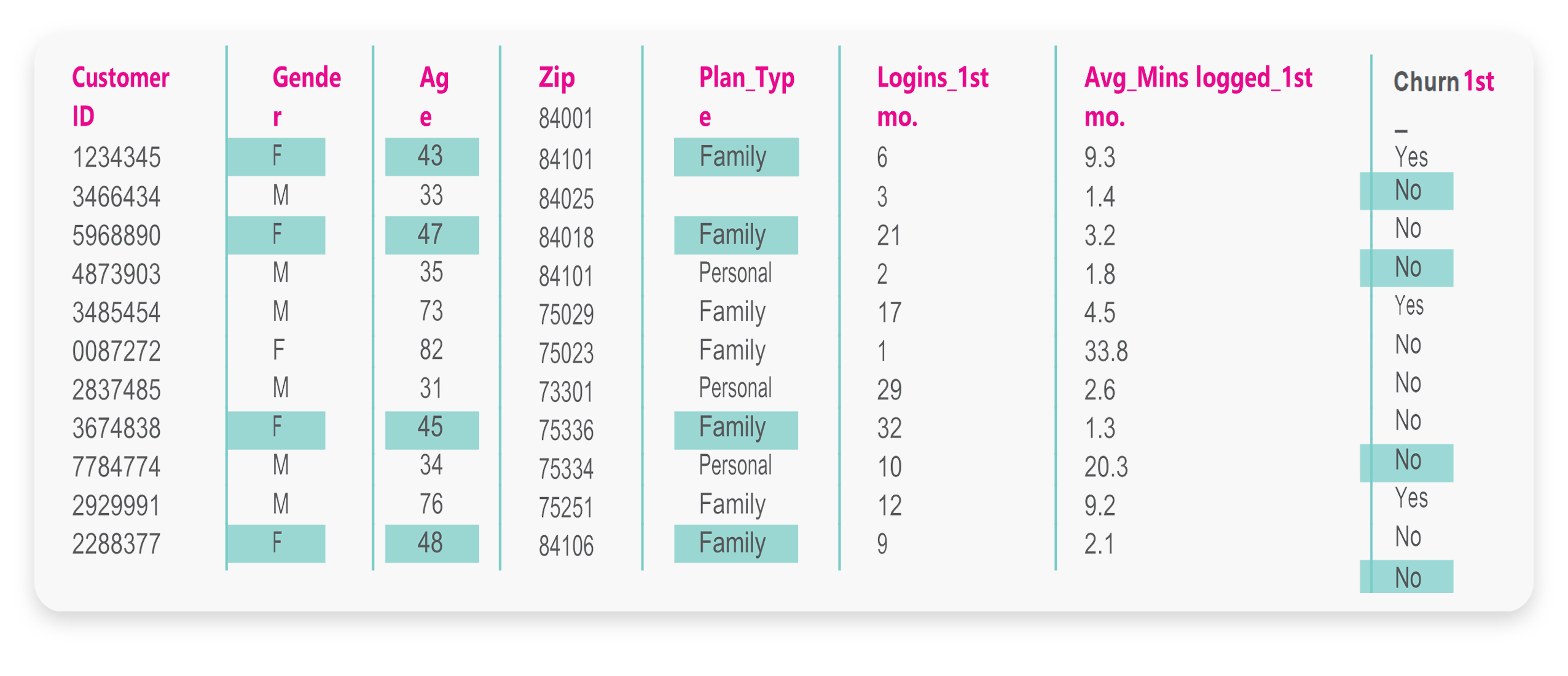 Screenshot of an AutoML data table of female customers in their 40s on a family plan during their first year.
