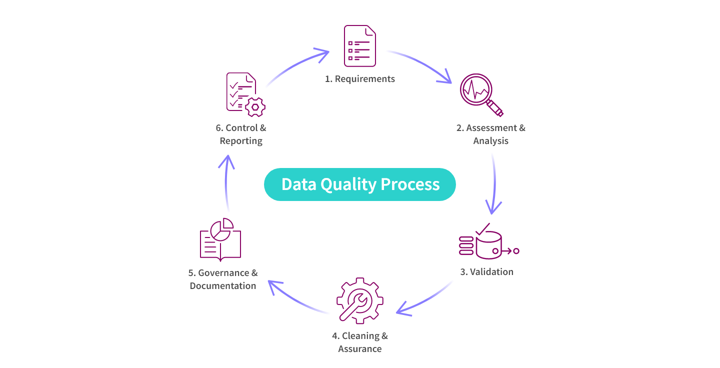 Diagram showing the six steps in the data quality process.