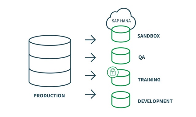 Graphic illustrating how Qlik Gold Client brings data from a production server to SAP Hana.